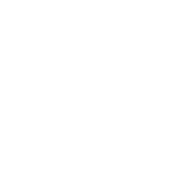 Markets.Observer Owl Icon